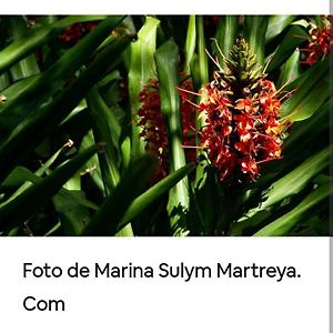 Jardín de Naipí 3